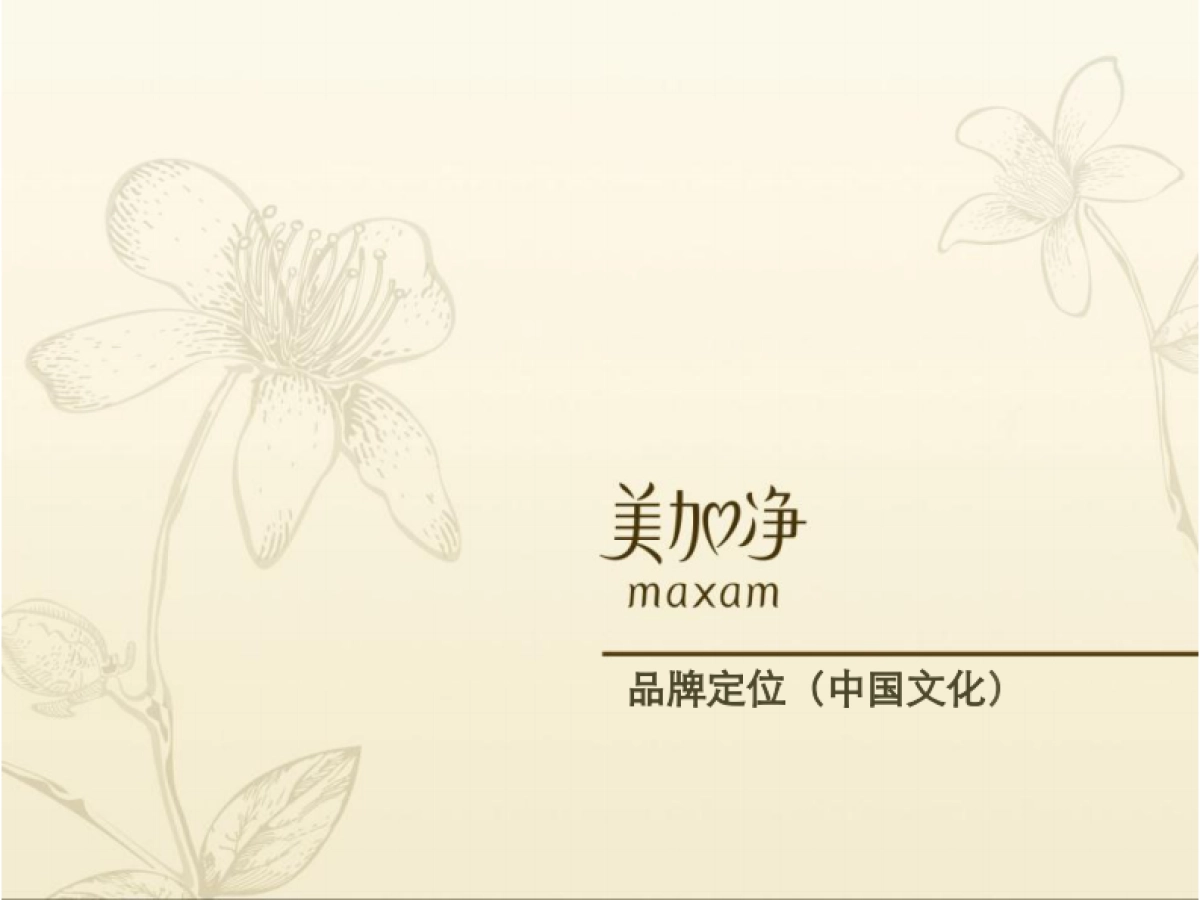 美加净品牌定位方案_第1页