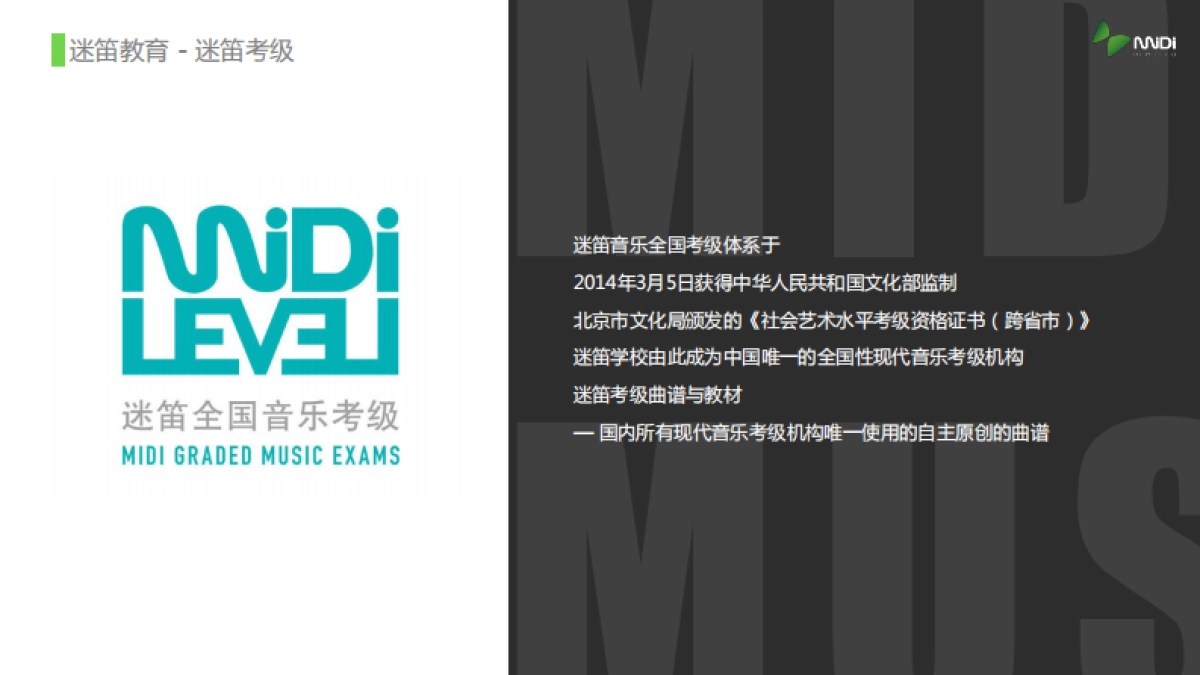 迷笛品牌介绍_第9页