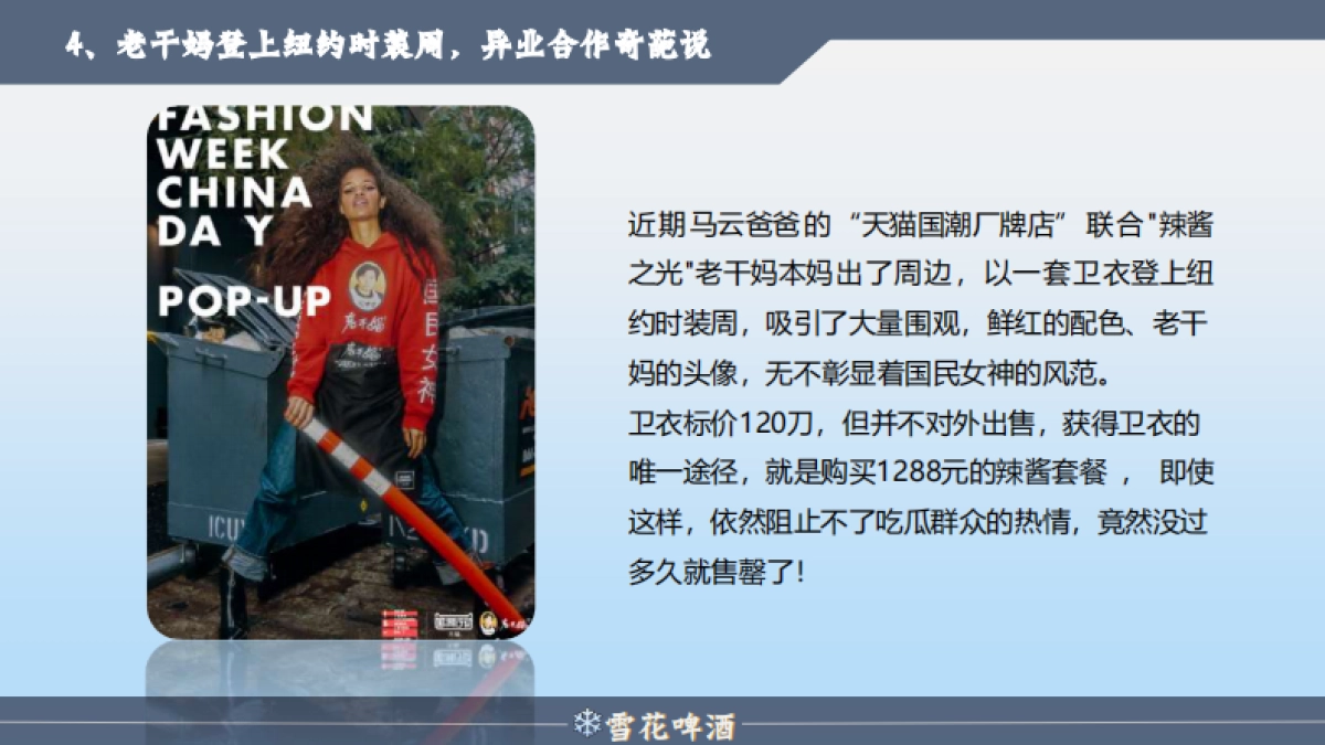 啤酒品牌年度营销策划方案_第10页