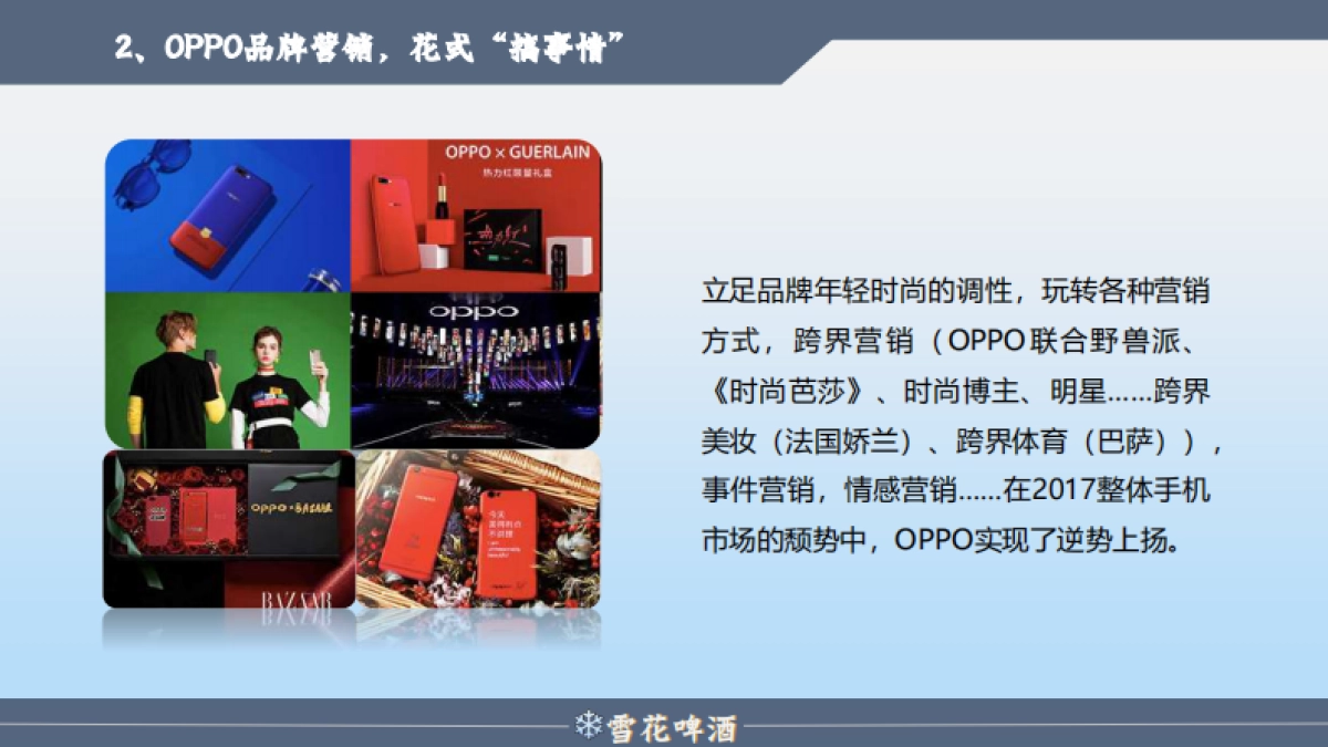 啤酒品牌年度营销策划方案_第8页