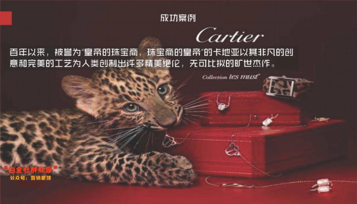 巧夺天工红木家具品牌策略方案_第4页