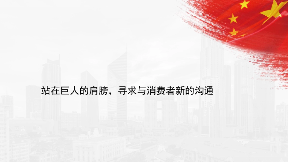 荣民控股集团品牌策略年案_第10页