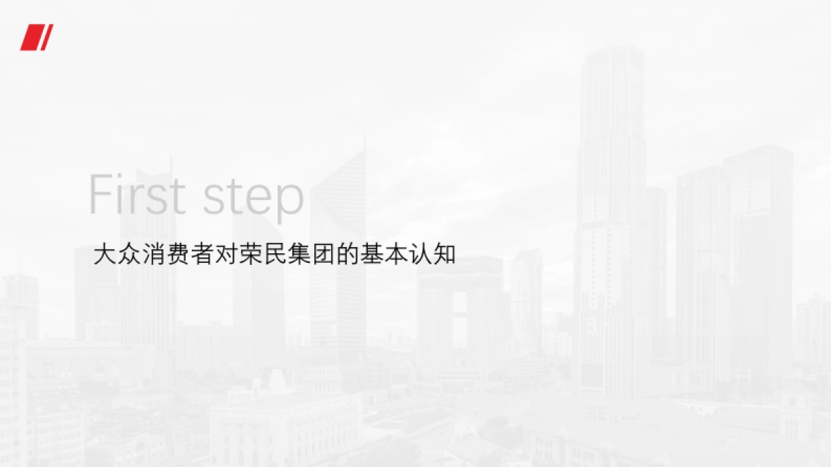 荣民控股集团品牌策略年案_第4页