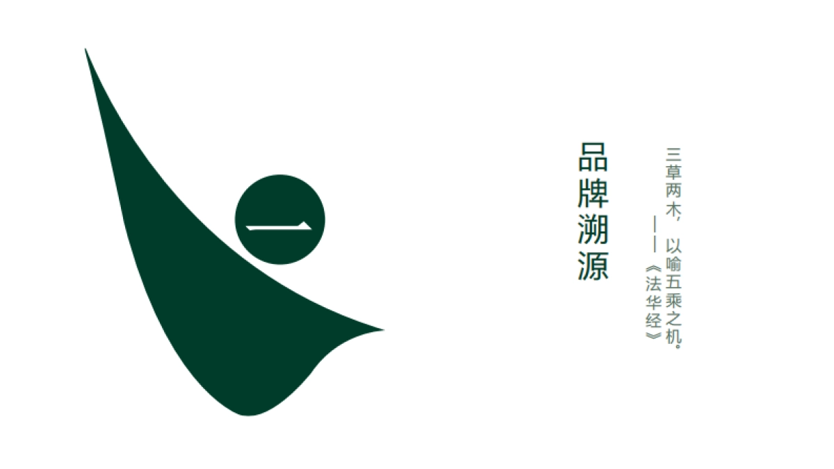 三草两木品牌介绍_第4页