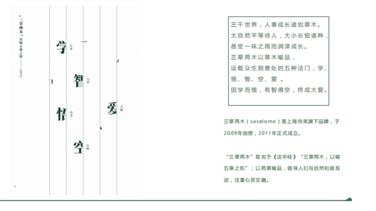 三草两木品牌介绍_第5页