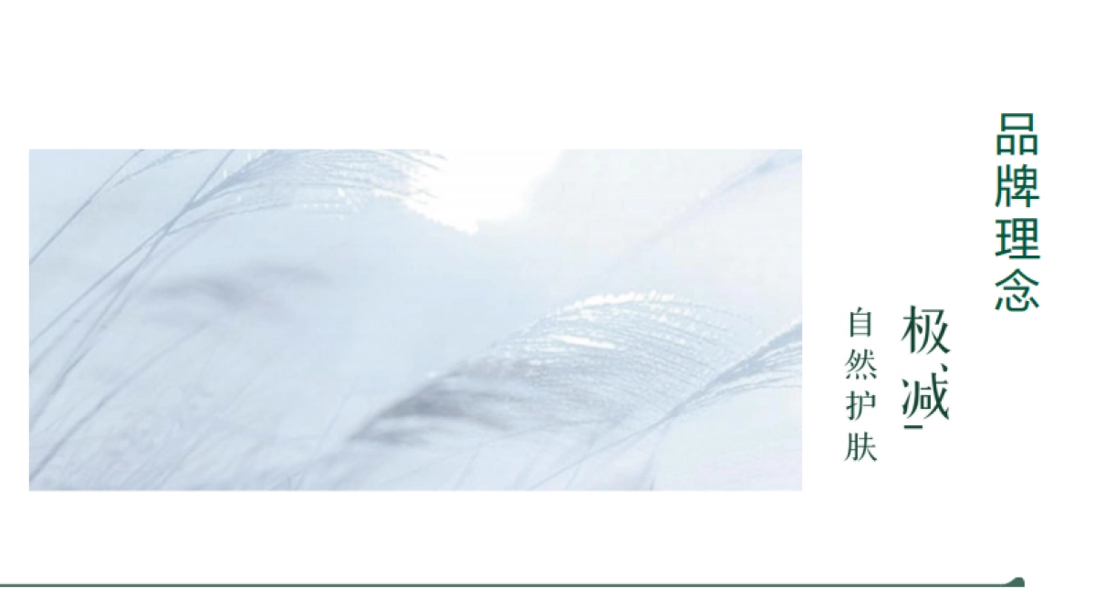 三草两木品牌介绍_第9页