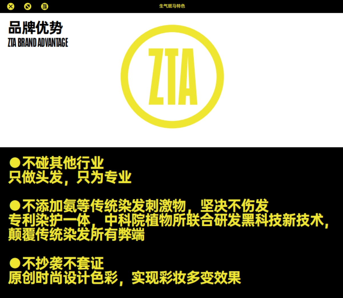 生气斑马洗发液ZTA 品牌介绍_第4页