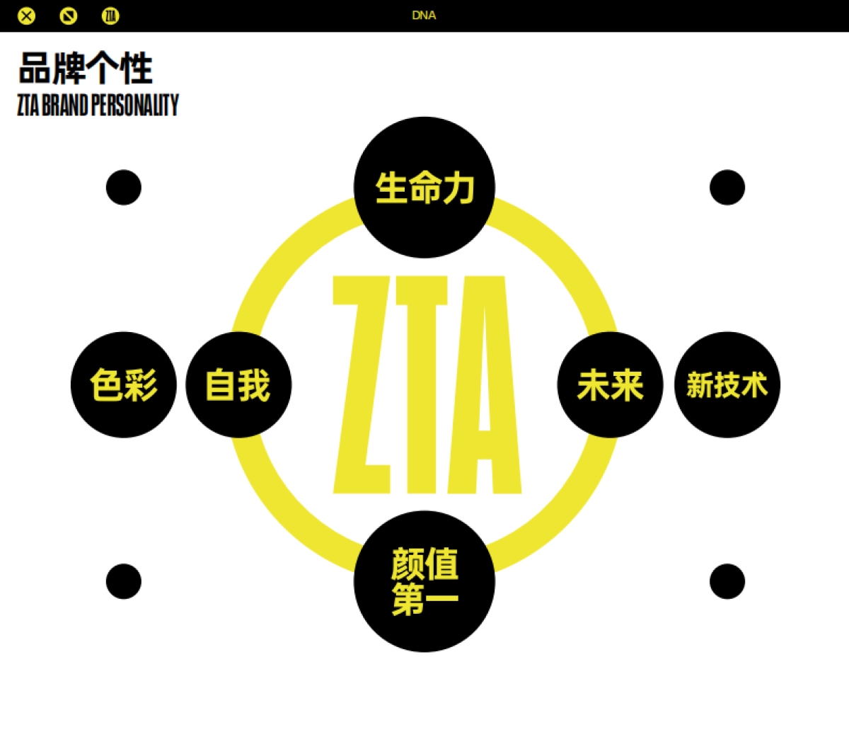 生气斑马洗发液ZTA 品牌介绍_第5页