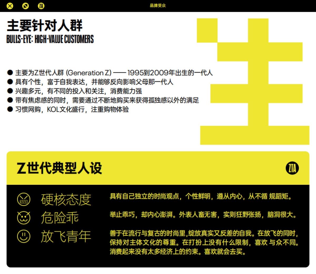生气斑马洗发液ZTA 品牌介绍_第6页