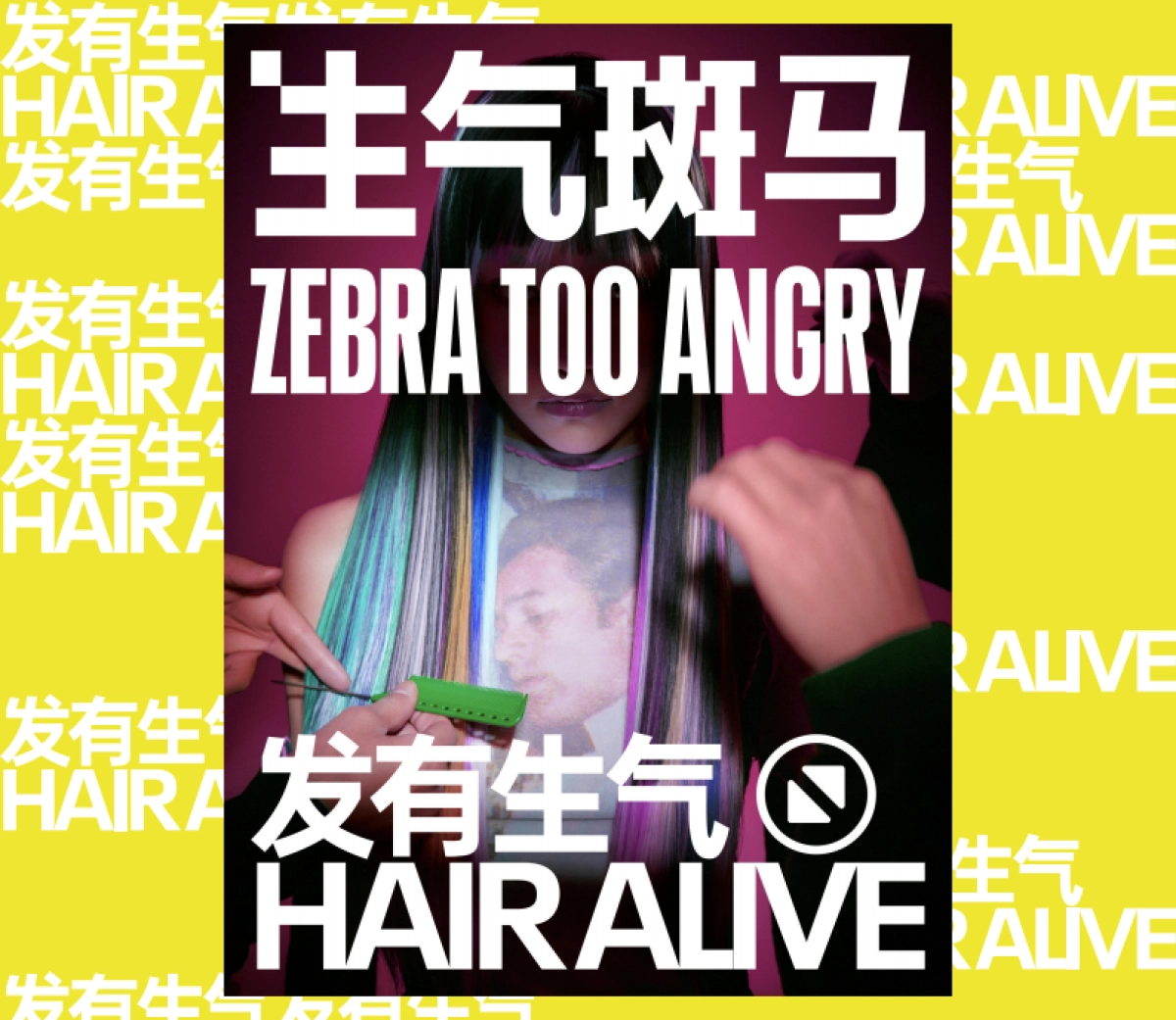 生气斑马洗发液ZTA 品牌介绍_第7页