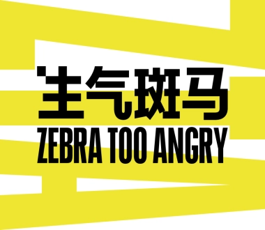 生气斑马洗发液ZTA 品牌介绍