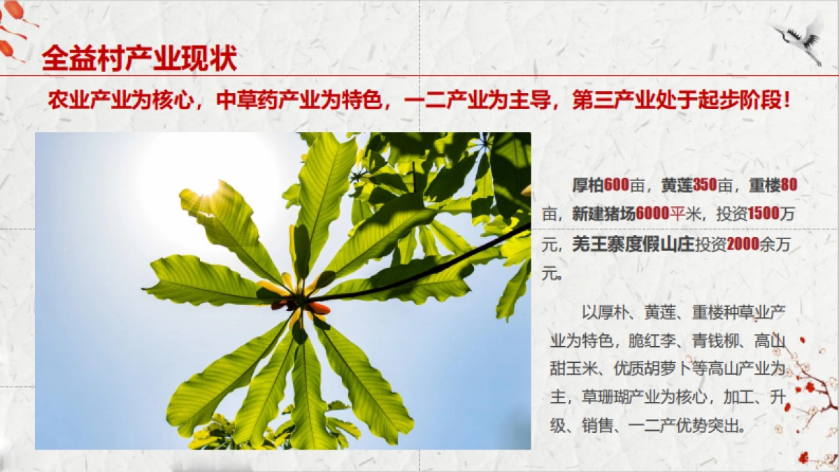 四川开坪乡全益村乡村振兴建设策划_第7页