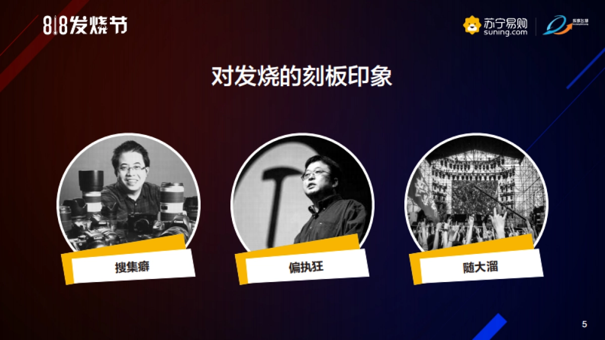 苏宁易购818发烧212.节全案策划_第5页