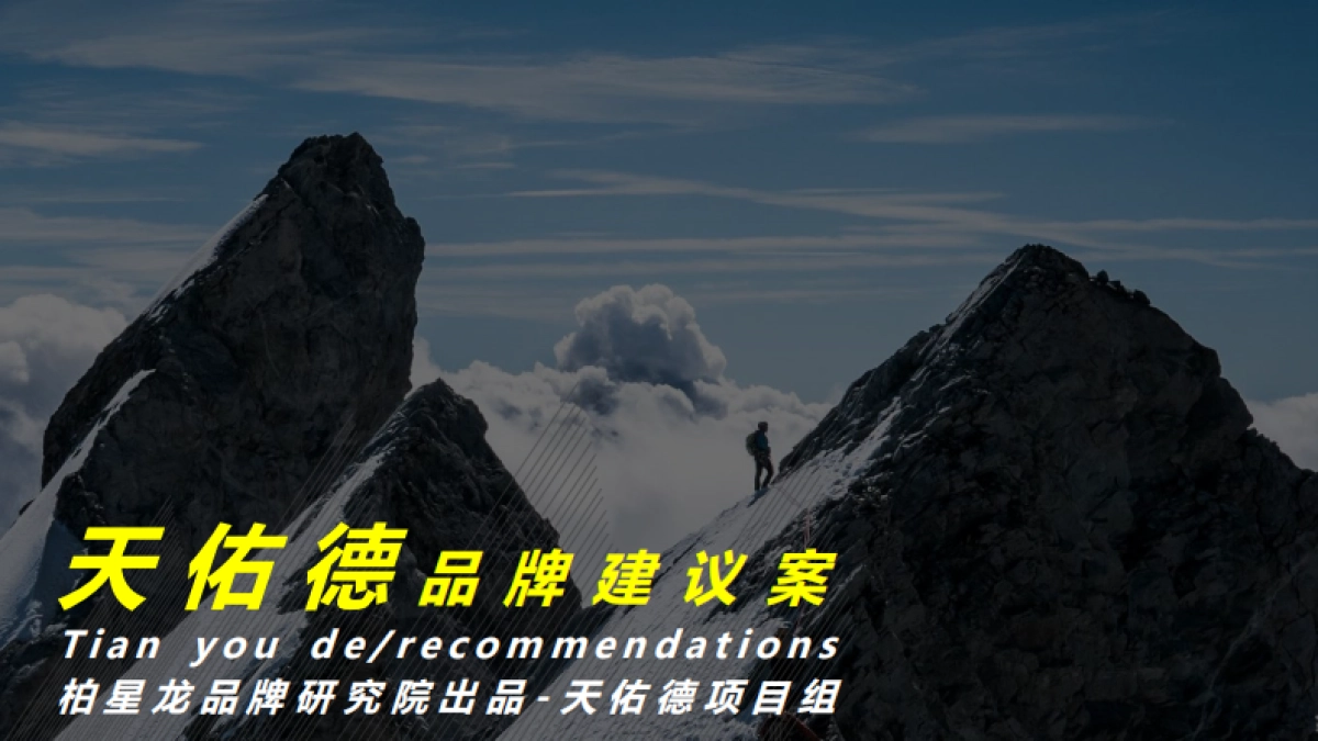 天佑德品牌建议方案_第2页