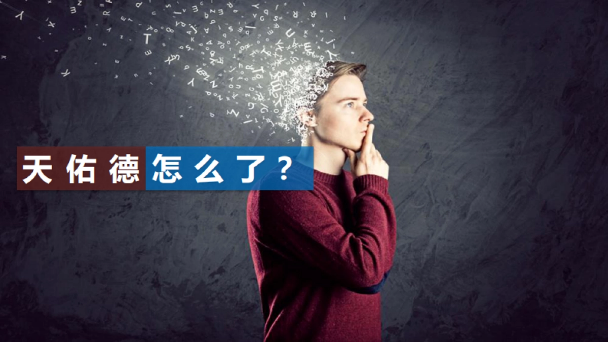 天佑德品牌建议方案_第4页