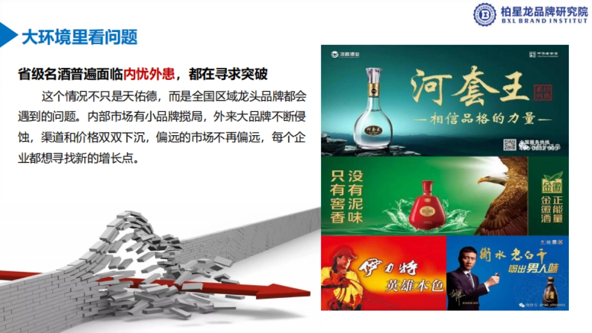 天佑德品牌建议方案_第6页