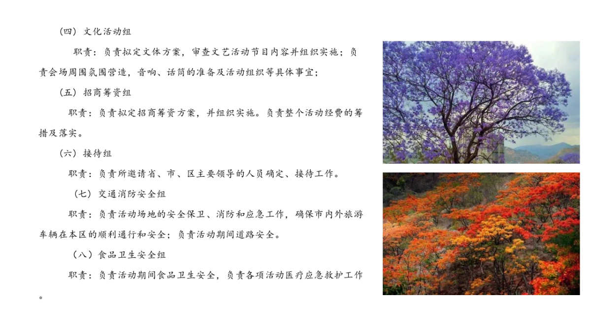 2017攀枝花市首届凤凰花节策划方案_第10页