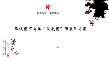 2017攀枝花市首届凤凰花节策划方案