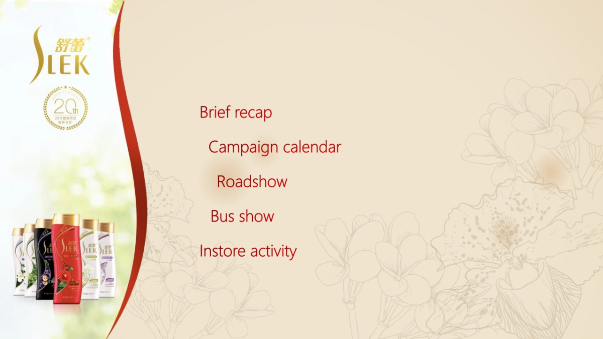 2017舒蕾自然美女神评选策划案_第2页