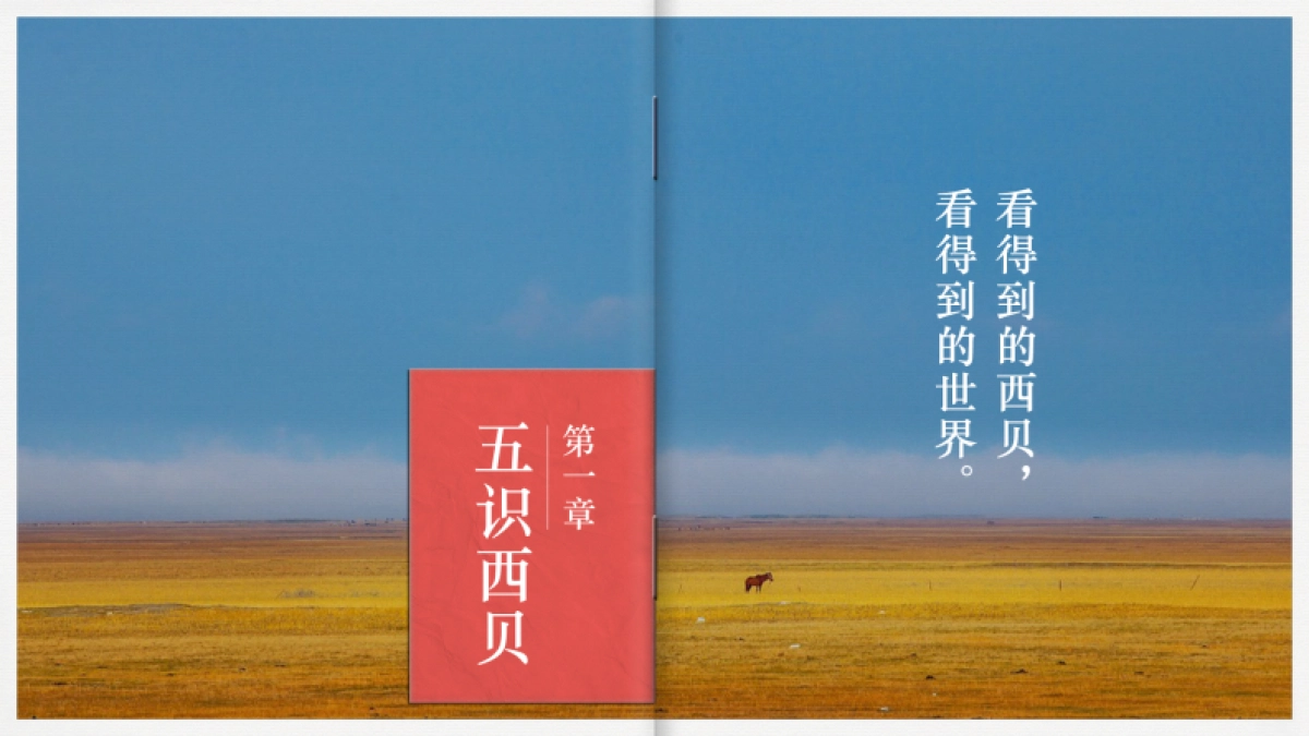 西贝品牌策略破题沟通案_第2页