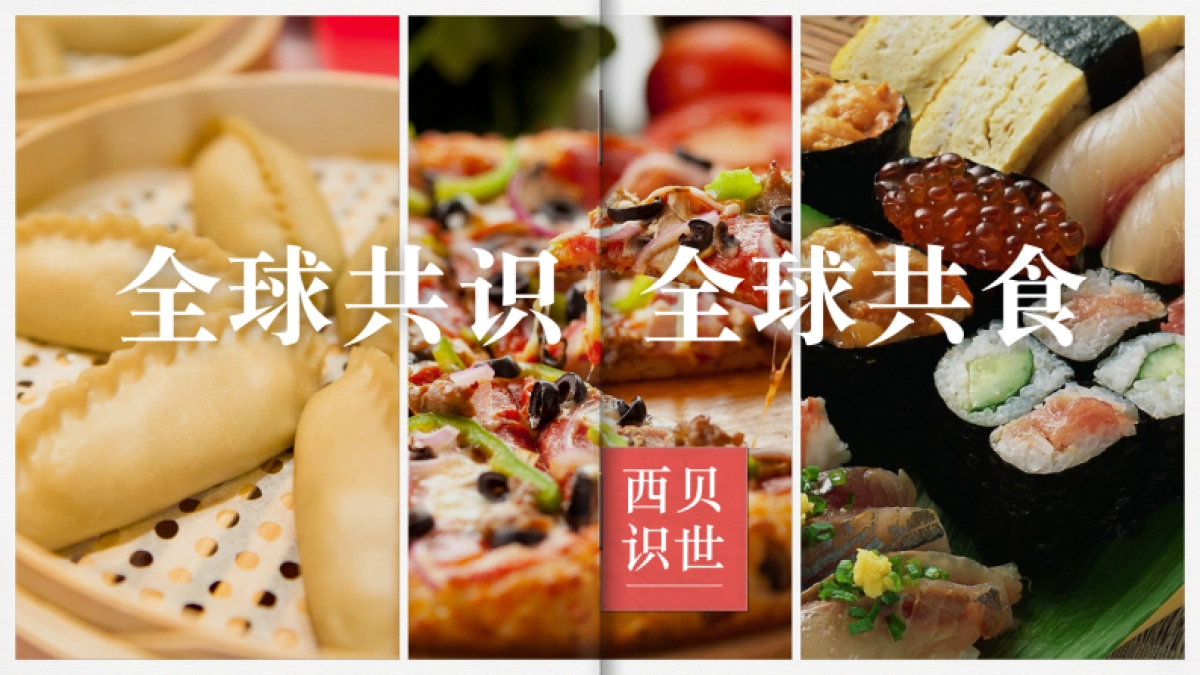 西贝品牌策略破题沟通案_第9页