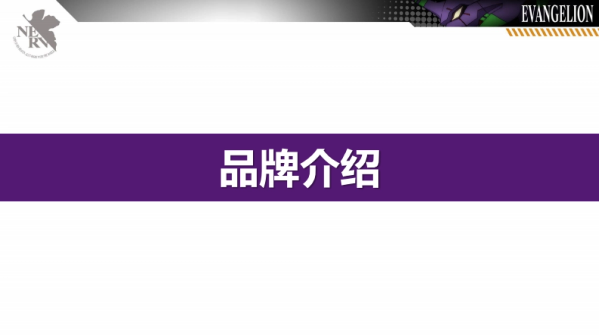 新世纪福音战士品牌介绍_第3页