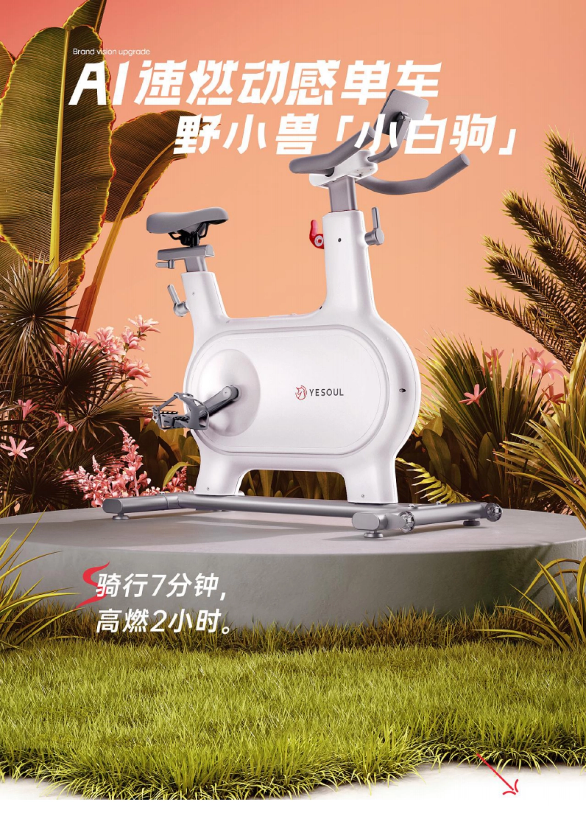 野小兽AI单车品牌升级策略案_第1页