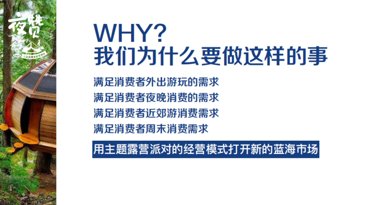 夜赞品牌项目介绍_第4页