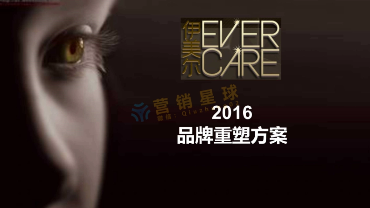 伊美尔2016品牌重塑方案_第1页