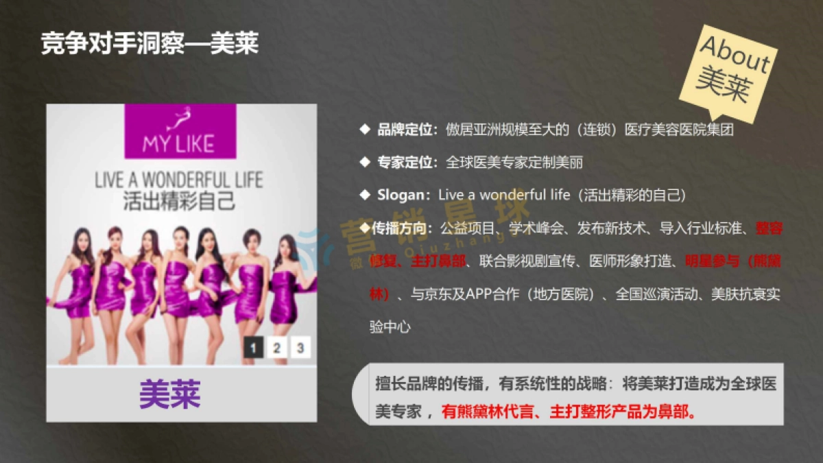 伊美尔2016品牌重塑方案_第8页