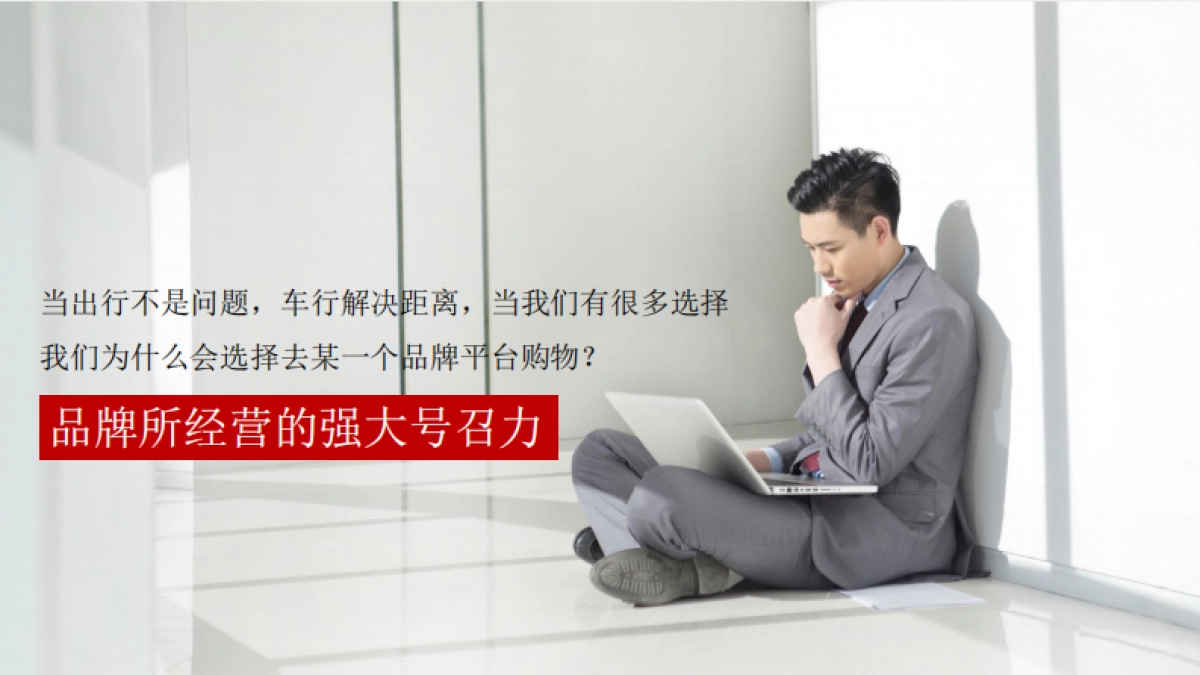 寅虎-红星美凯龙华东区域品牌建设_第10页