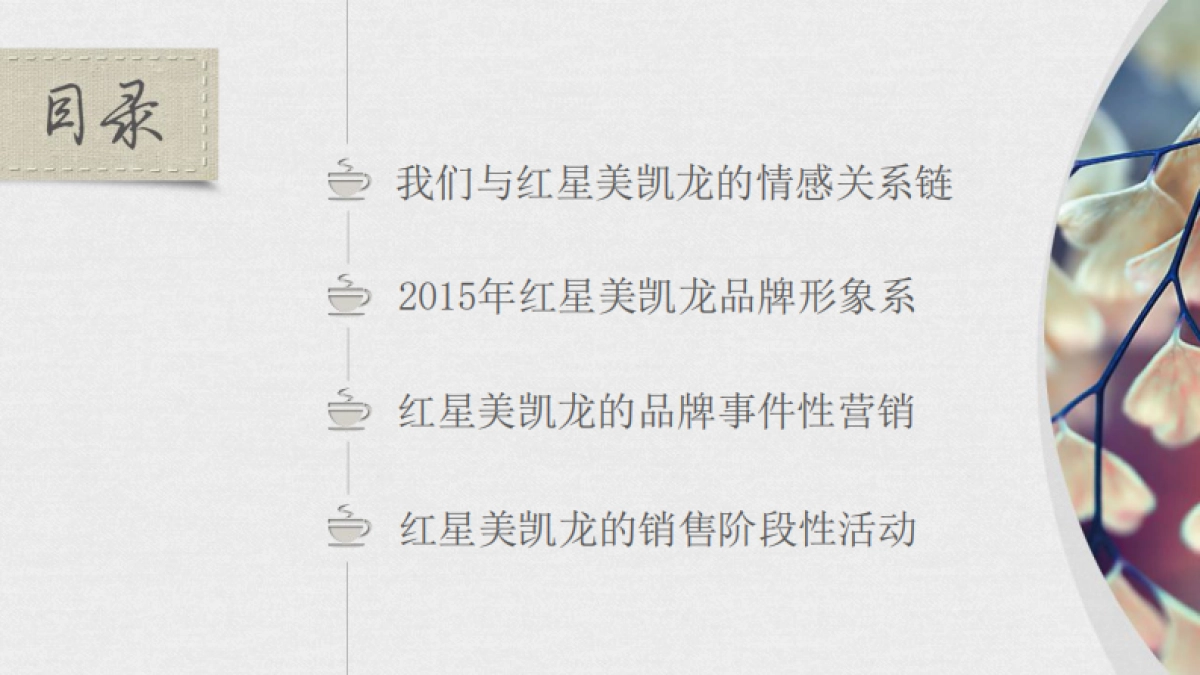 寅虎-红星美凯龙华东区域品牌建设_第2页