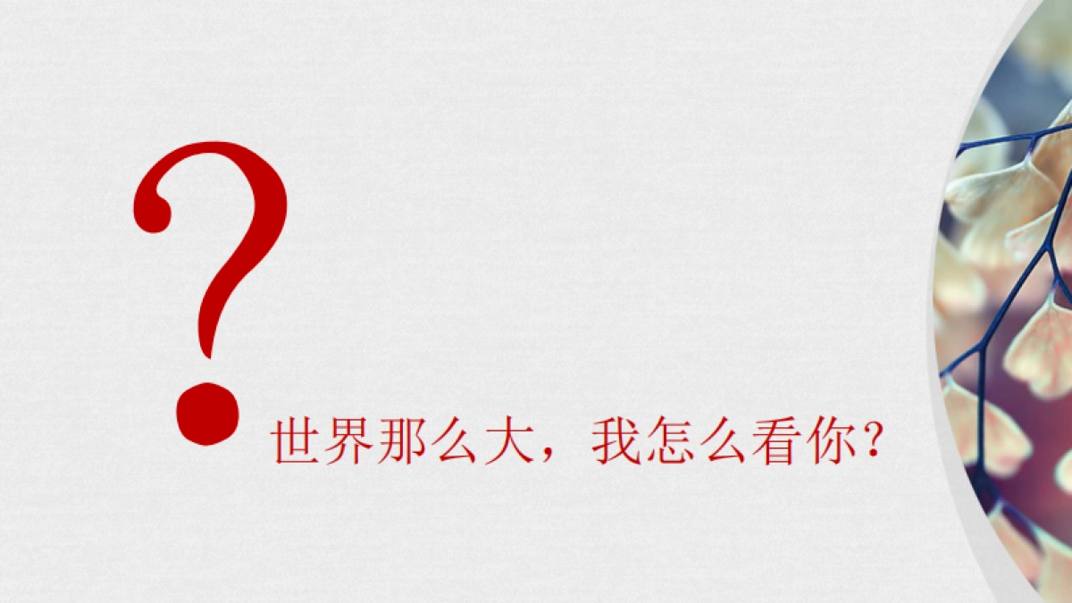 寅虎-红星美凯龙华东区域品牌建设_第3页