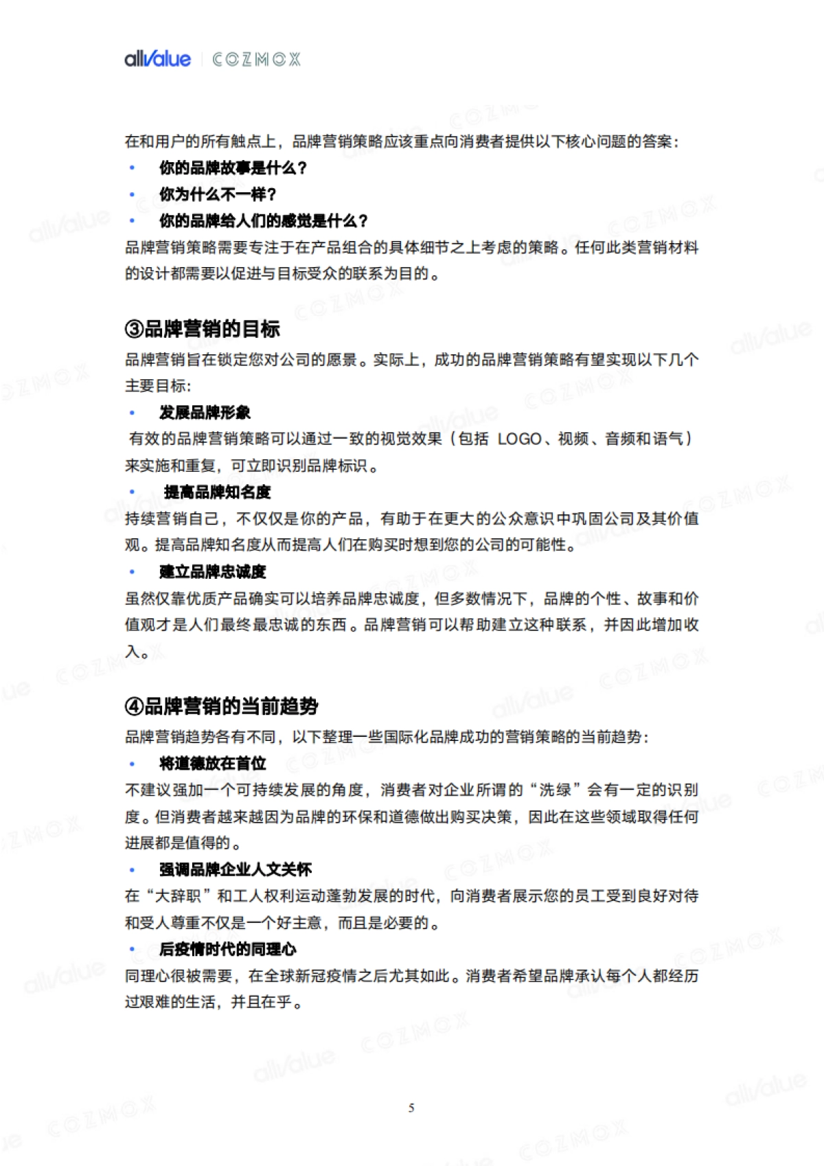 有赞:2022新品牌出海地图_第9页