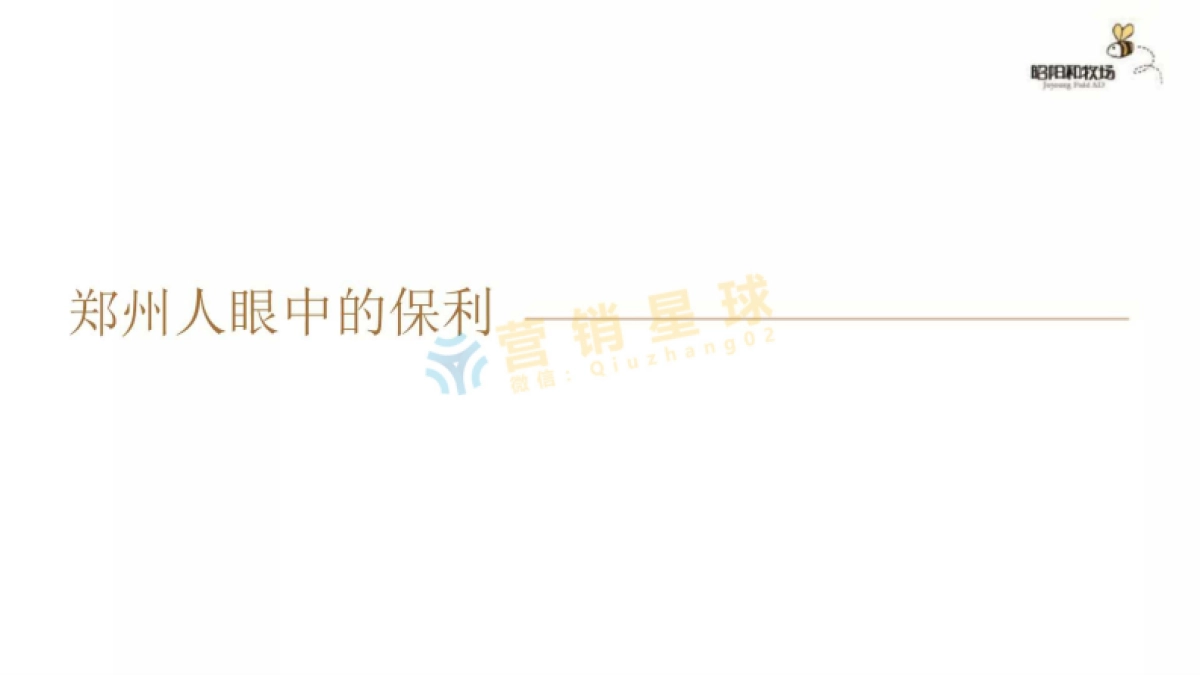 昭阳和牧场-保利(郑州)2017品牌策略方案_第4页