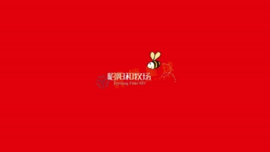 昭阳和牧场-保利（郑州）2017品牌策略方案
