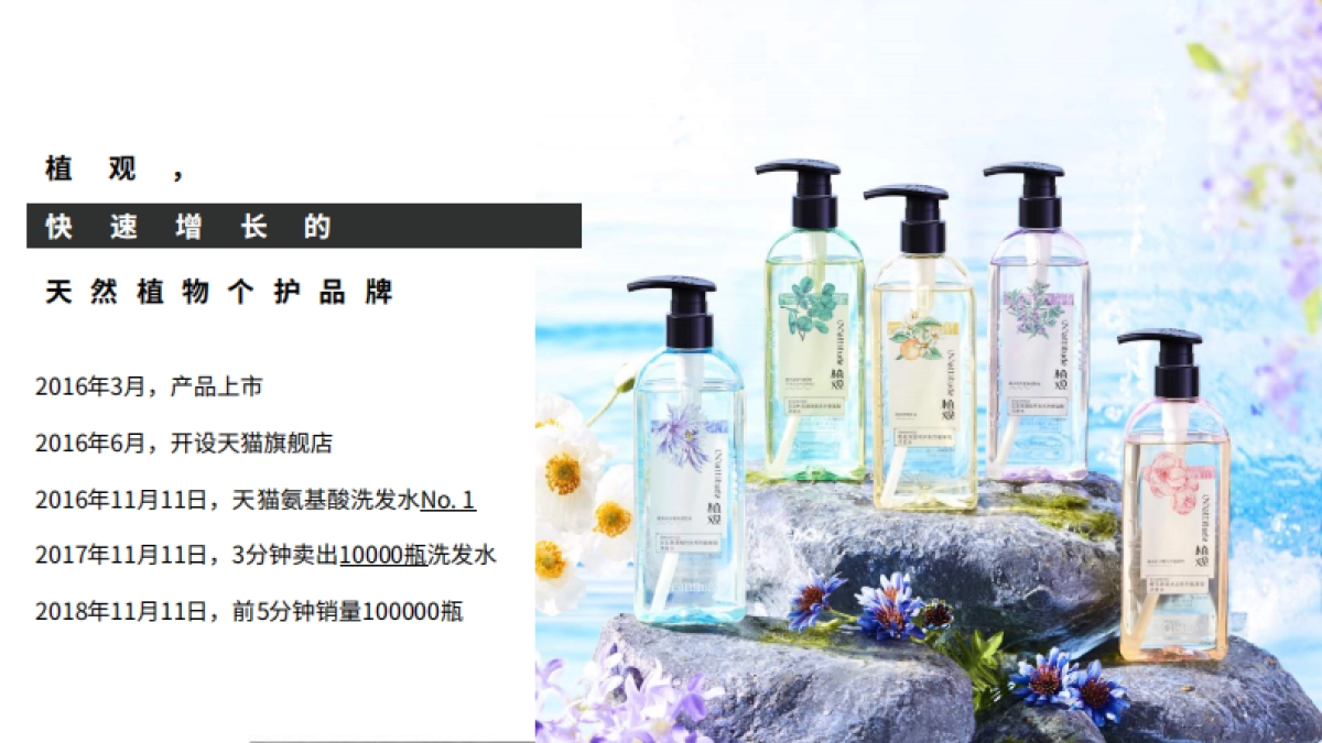 植观品牌资料_第4页