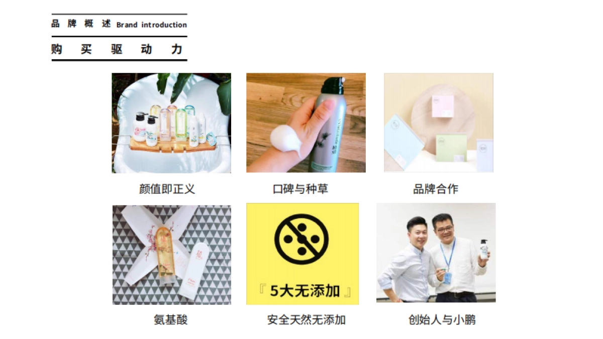 植观品牌资料_第7页