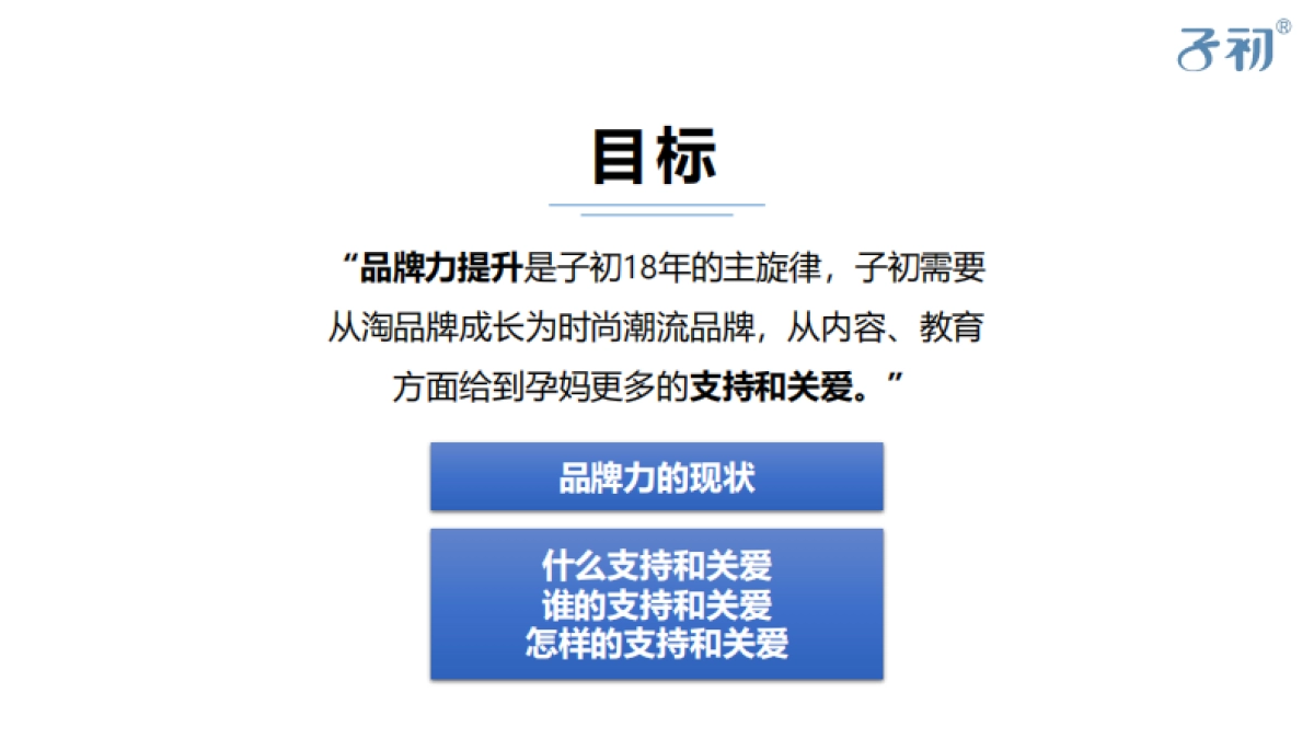 子初孕妇护理品牌营销策划_第3页