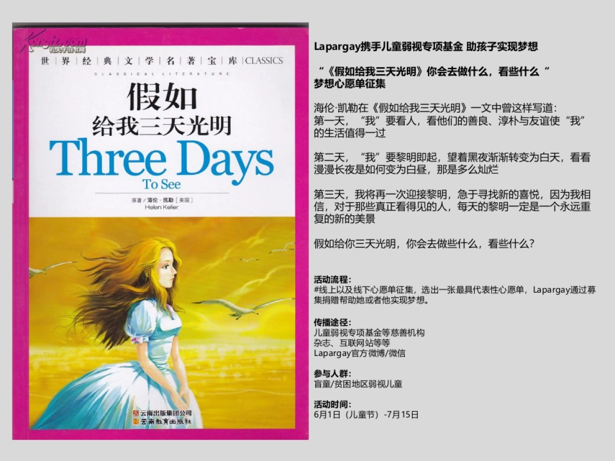 2017Lapargay夏秋品牌公益慈善简案 _第4页