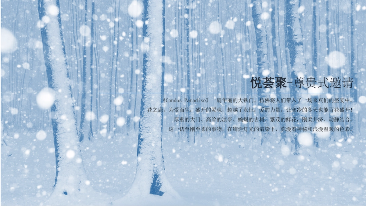 2017冬日奇境悦礼秘境大宅启幕策划案_第5页
