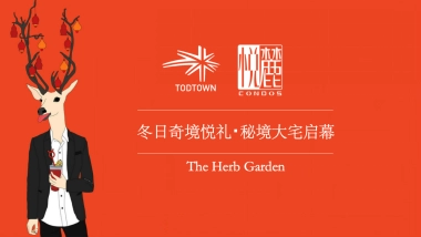 2017冬日奇境悦礼秘境大宅启幕策划案