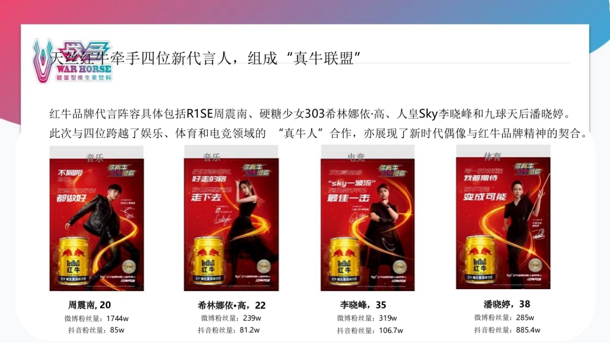 2021战马功能饮料xWT品牌策略方案_第6页