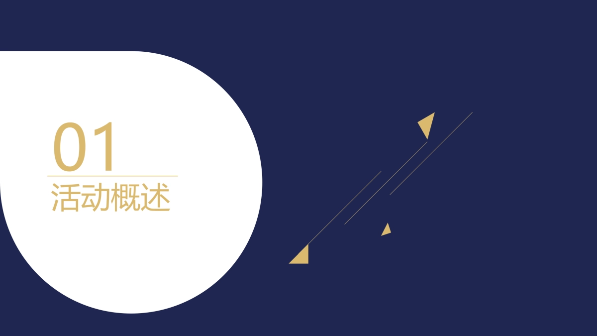 2017幸福南庭盛大开盘策划案_第3页