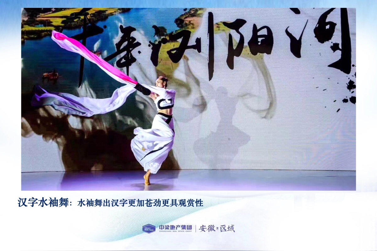 2017中梁安徽区域盛夏诗歌音乐会暨一周年品牌盛典策划案_第10页