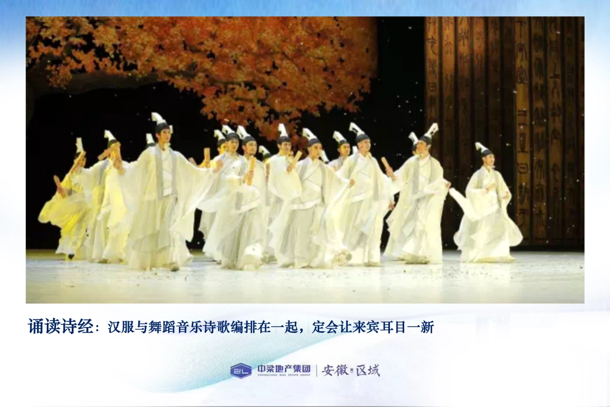 2017中梁安徽区域盛夏诗歌音乐会暨一周年品牌盛典策划案_第8页