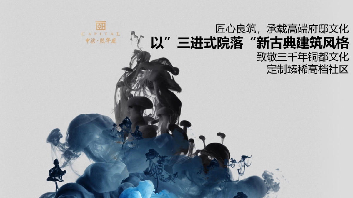 2017中梁熙华府千亿级示范区盛大开放策划方案_第5页