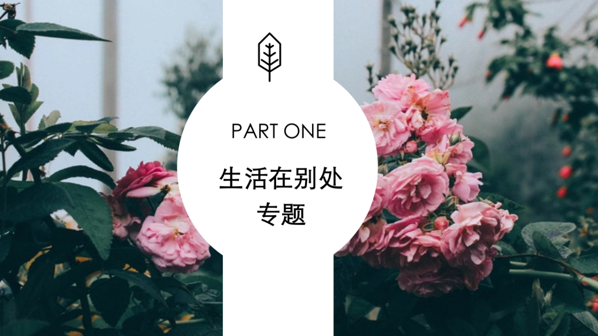 2018玛丝菲尔 x LOHAS媒体策划案_第5页