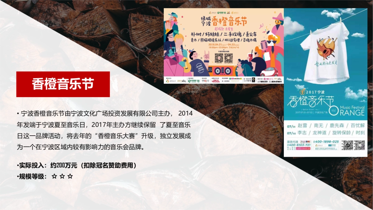 2019华润浮岛音136.乐节策划案_第8页