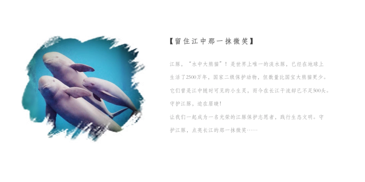 2019年红豆置业环湖公益跑策划方案 _第2页